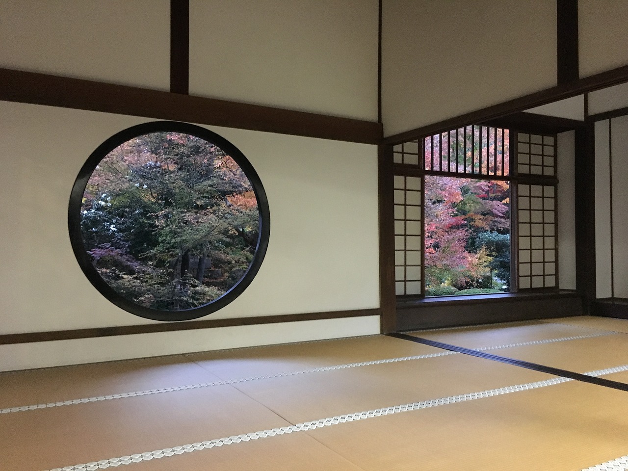 畳の掃除方法は カビやダニ対策 汚れの落とし方も Zehitomo Journal